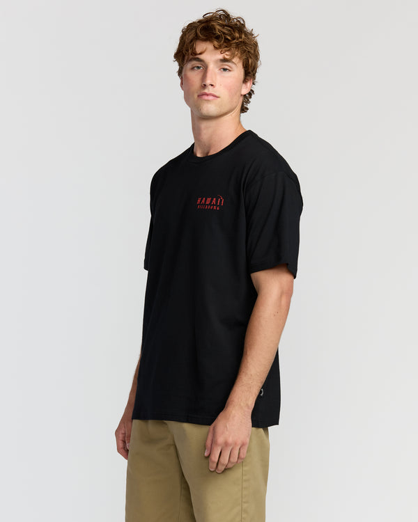 Billabong Skull Wave Hi Regular Short Sleeve T-Shirt - Black