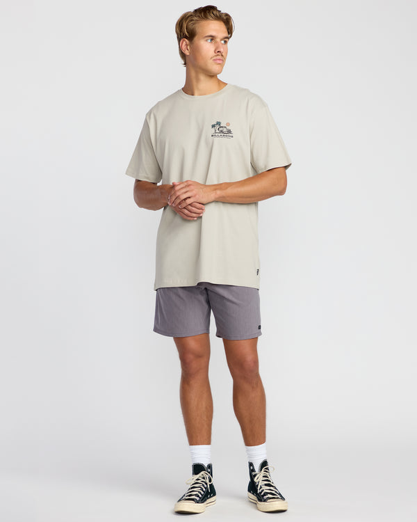 Billabong State Park A/Div Short Sleeve T-Shirt - Chino