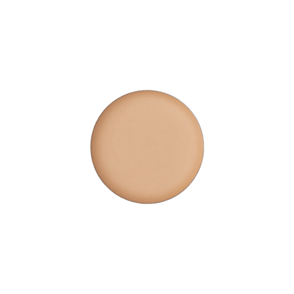 Billion Dollar Brows Concealer