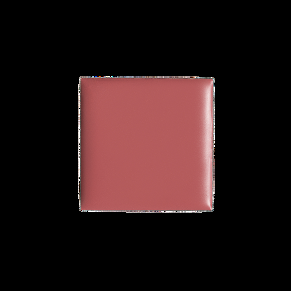 billion dollar brows Nude Lip & Cheek Tint