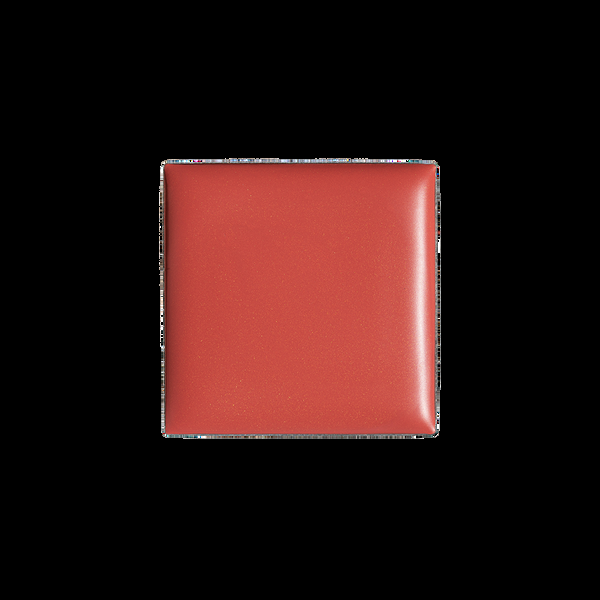 billion dollar brows Pink Lip & Cheek Tint