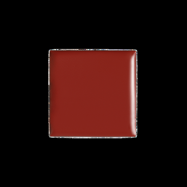 billion dollar brows Red Lip & Cheek Tint