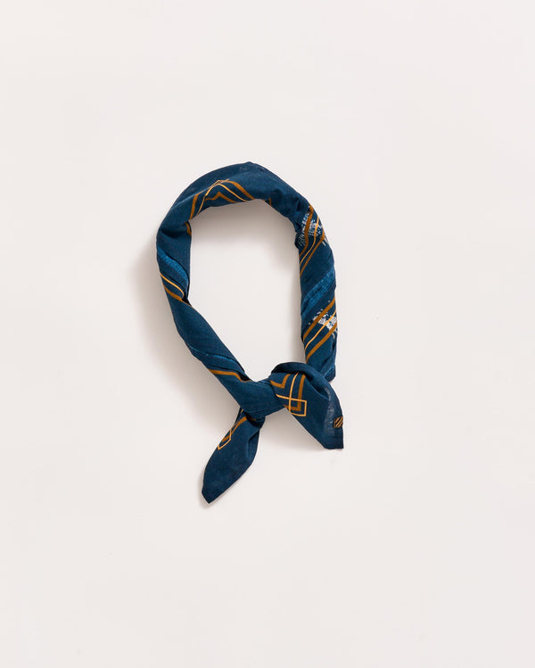 Billy Reid Pelican Swarm Bandana – Billy Reid