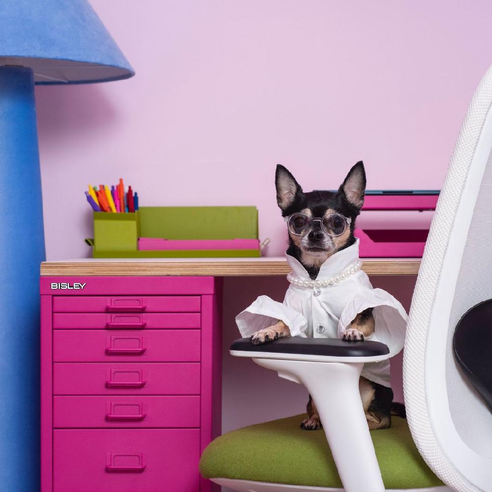 Bisley Bisley Limited Edition MultiDesk