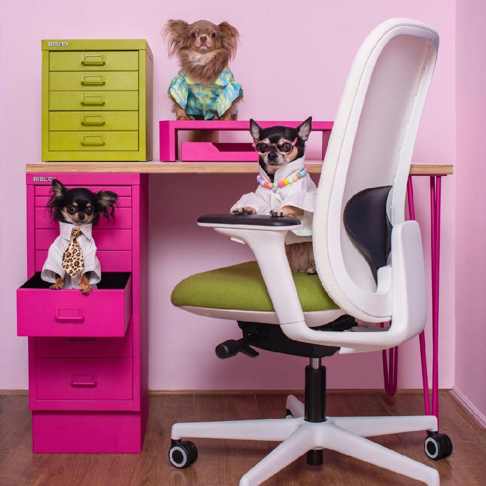 Bisley Bisley Limited Edition MultiDesk