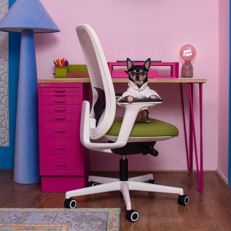 Bisley Bisley Limited Edition Roe Mesh Task Chair