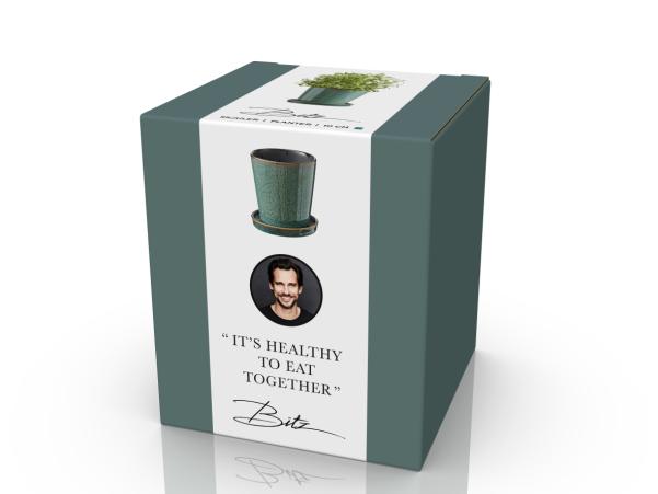 Bitz BITZ Flowerpot Dia. 10 X 10 5 Cm Green/black