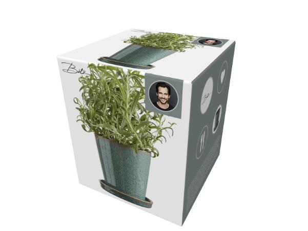 Bitz BITZ Flowerpot Dia. 10 X 10 5 Cm Green/black