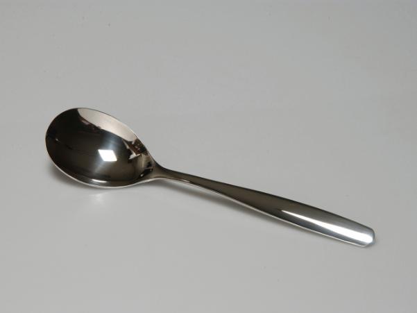 Bitz Funktion Serving Spoon