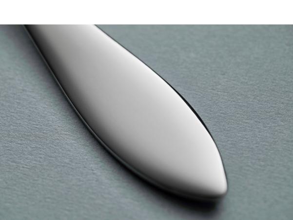 Bitz Gense Indra Table Spoon 21 Cm Polished Steel