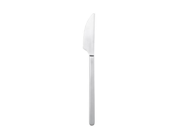 Bitz Gense Norm Table Knife 22.5 Cm Matte Steel