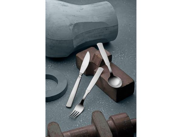 Bitz Gense Ranka Table Knife 20 Cm Matte Steel