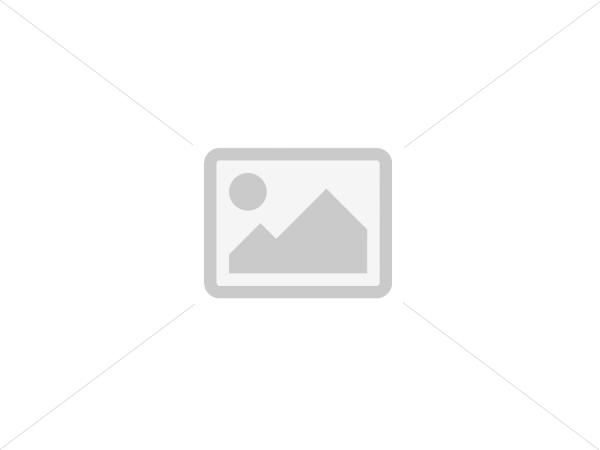 bitz Rosti Card