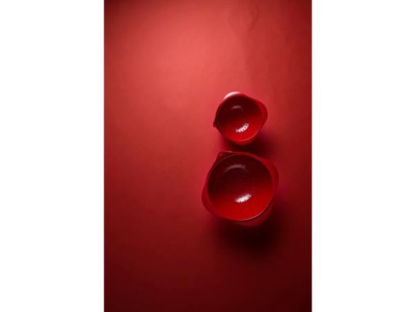 Bitz Rosti Colander Margrethe 4 Liter Red