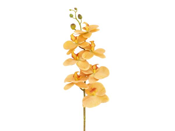 Bitz Villa Collection Orchid Flower 102 Cm Amber
