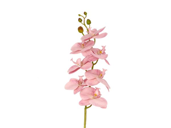 Bitz Villa Collection Orchid Flower 102 Cm Rose