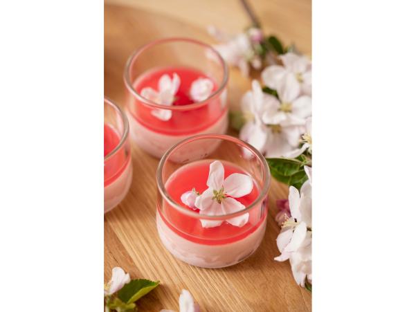 Bitz Blomsterbergs Dessert Glass Dia 8 X 6 Cm 4 Pcs Clear