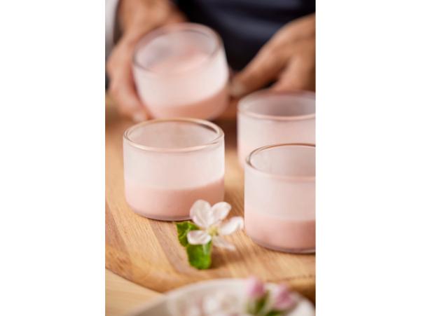 Bitz Blomsterbergs Dessert Glass Dia 8 X 6 Cm 4 Pcs Clear