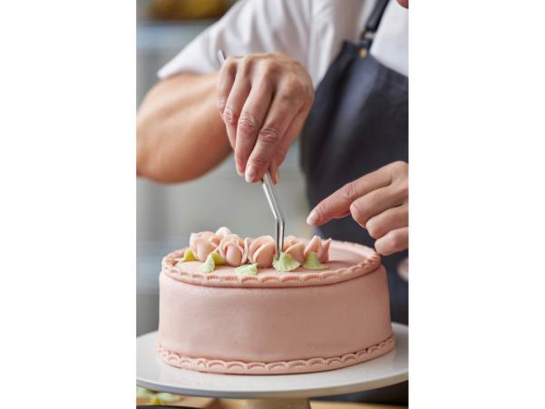 Bitz Blomsterbergs Springform Cake Tin Dia 20 X 8.5 Cm Steel