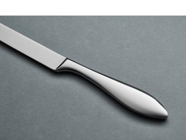 Bitz Gense Indra Table Knife 23 5 Cm Polished Steel