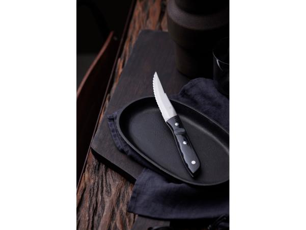 Bitz Gense Old Farmer Micarta Steak Knife XL 23 5 Cm 2 Pcs Black/Steel