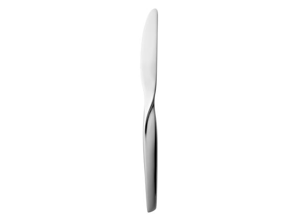 bitz Gense Twist Table knife 21 6 cm Polished steel