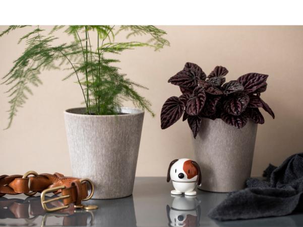 Bitz Hoptimist Dog Hoptimist 5.5 X 5.9 X 6.9 Cm White