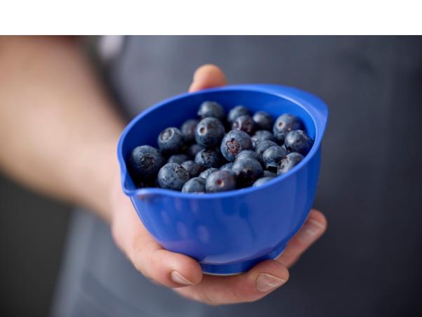Bitz Rosti NEW Margrethe Mixing Bowl 0 5 Liter Electric Blue