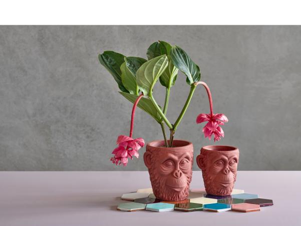 Bitz Villa Collection Calbe Flowerpot Dia 19 X 19 Cm Red Brown