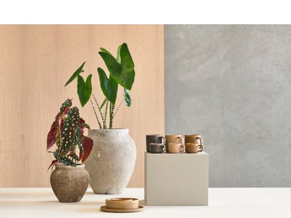 Bitz Villa Collection Fjord Espresso Cup 8.8 X 6 X 4.9 Cm 0 1 Liter 2 Pcs Cream