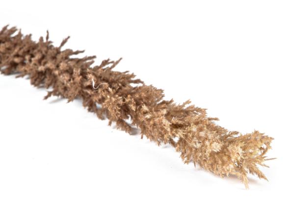 Bitz Villa Collection Kvist Grasses Dark Decor 100 Cm Nature