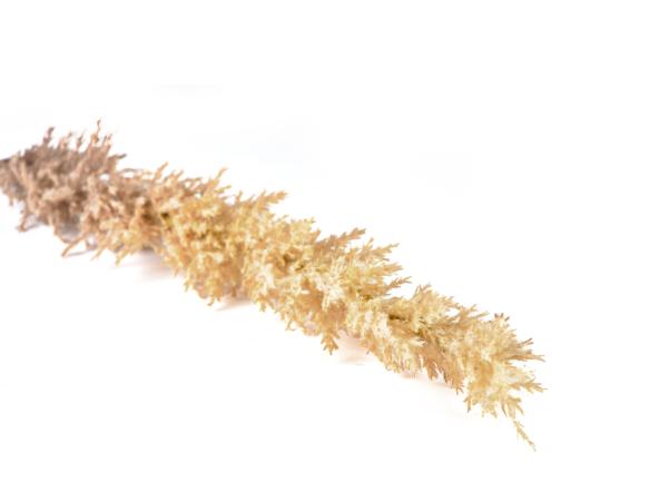 Bitz Villa Collection Kvist Grasses Light Decor 100 Cm Nature
