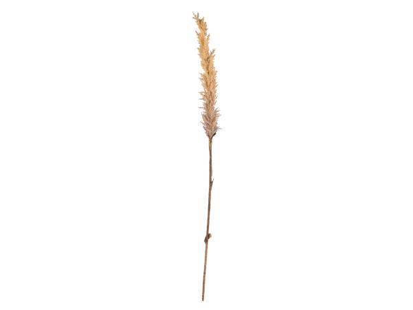 Bitz Villa Collection Kvist Grasses Light Decor 100 Cm Nature