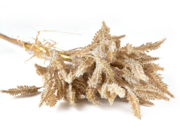 Bitz Villa Collection Kvist Soft Grass Decor 80 Cm Nature