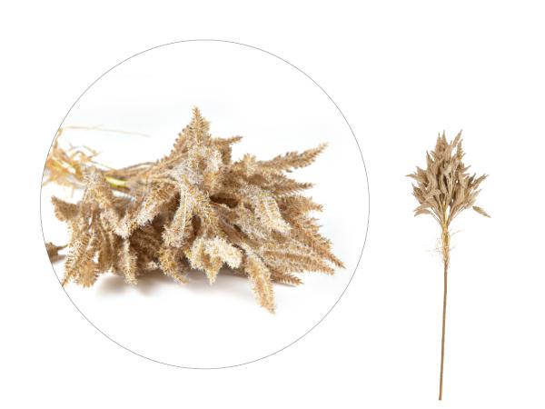 bitz Villa Collection Kvist Soft Grass Decor 80 cm Nature