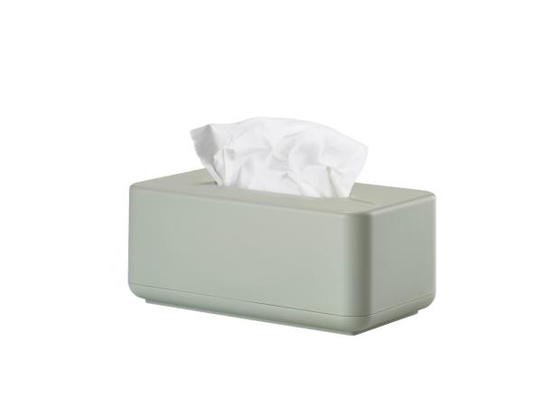 Bitz Zone Denmark Ume Tissue Box 25 6 X 14 X 10 7 Cm Eucalyptus