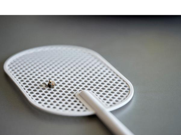 Bitz Zone Singles Fly Swatter 54 X 10.3 X 0.2 Cm Black