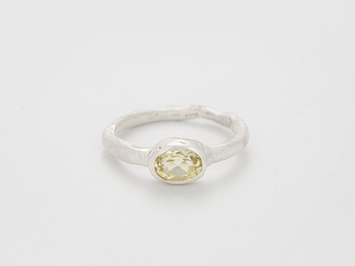 Bjorg A Desert Bloom