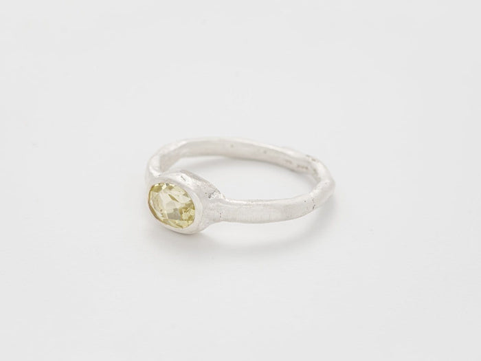 Bjorg A Desert Bloom