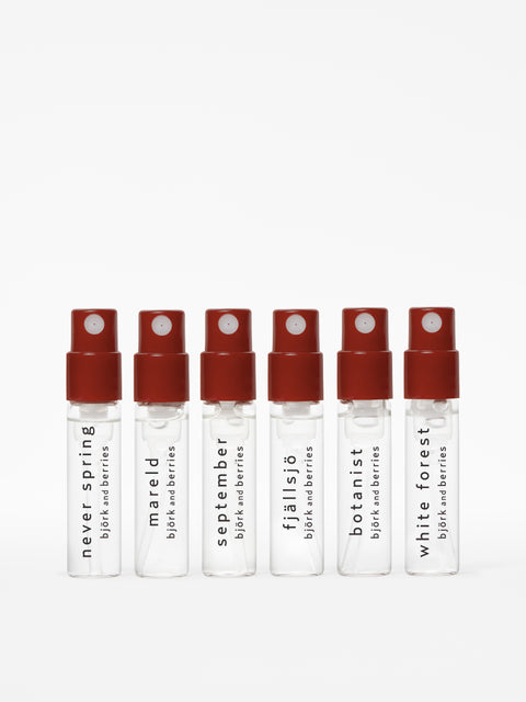 björk & berries Discovery Set