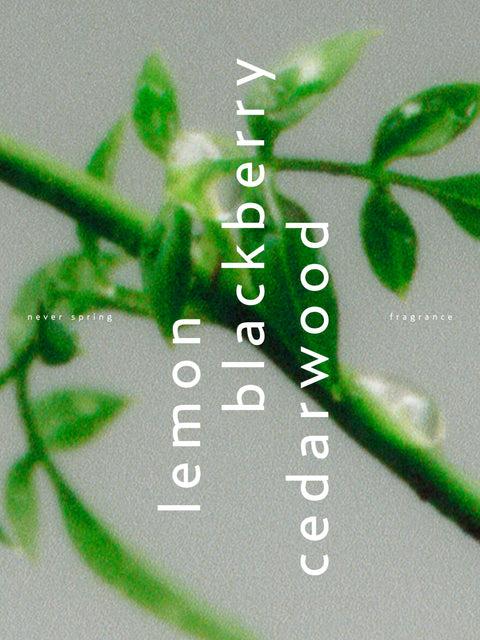 Björk & Berries Never Spring Perfume Oil