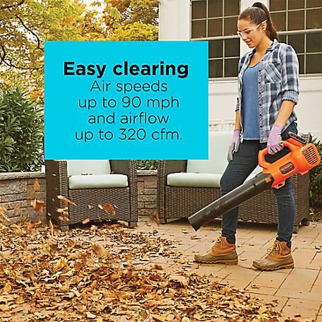 Black Decker 20V MAX* Leaf Blower And String Trimmer Combo Kit