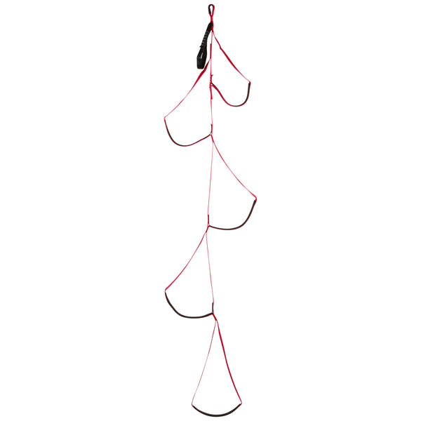 black diamond Alpine Aider No Color