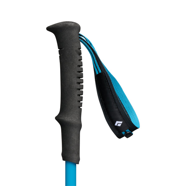 Black Diamond Distance Carbon FLZ Poles Desert Sky