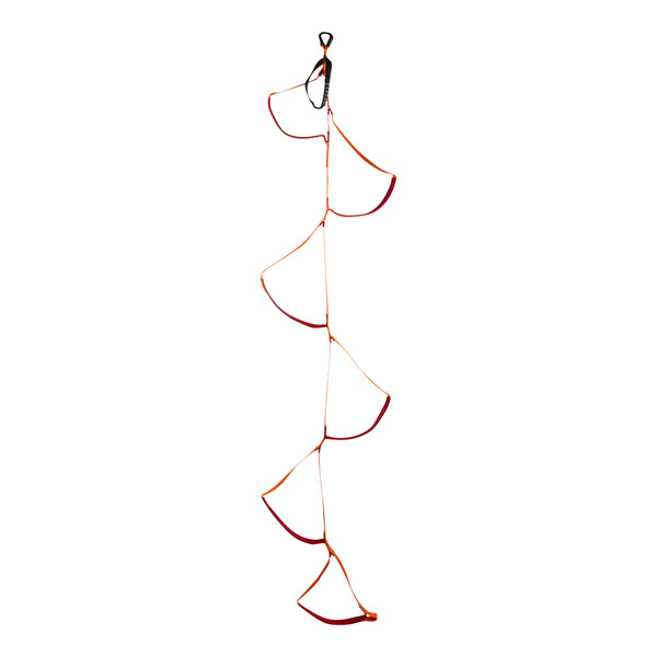 black diamond Six-Step Etrier