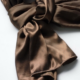 Blancho Bedding Brando Brown Small Cute Dot Design Campus Style Silk Scarf/Wrap/Shawl(Large)