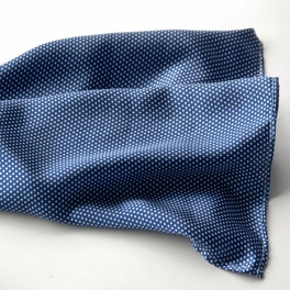 Blancho Bedding Brando Dark Blue Small Cute Dot Design Campus Style Silk Scarf/Wrap/Shawl(Large)