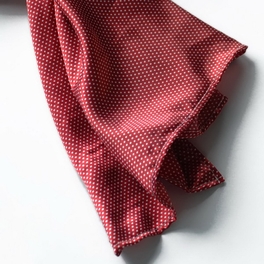 Blancho Bedding Brando Red Small Cute Dot Design Campus Style Silk Scarf/Wrap/Shawl(Large)