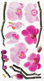 Blancho Bedding Bright Flowers - Wall Decals Stickers Appliques Home Decor