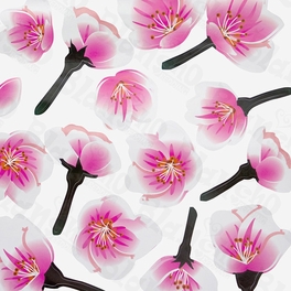 Blancho Bedding Cherry Bloom - Wall Decals Stickers Appliques Home Decor